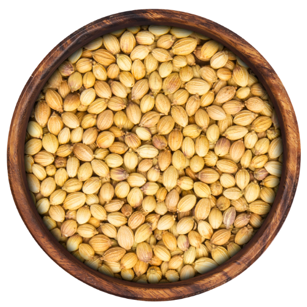 Premium whole Coriander – organic